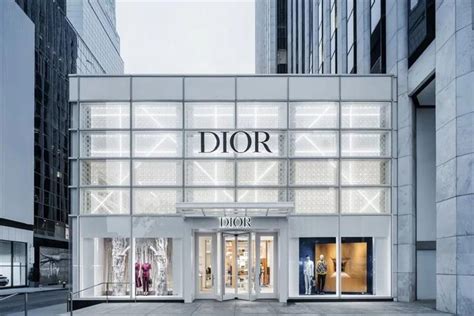 christian dior ecuador|dior online shop.